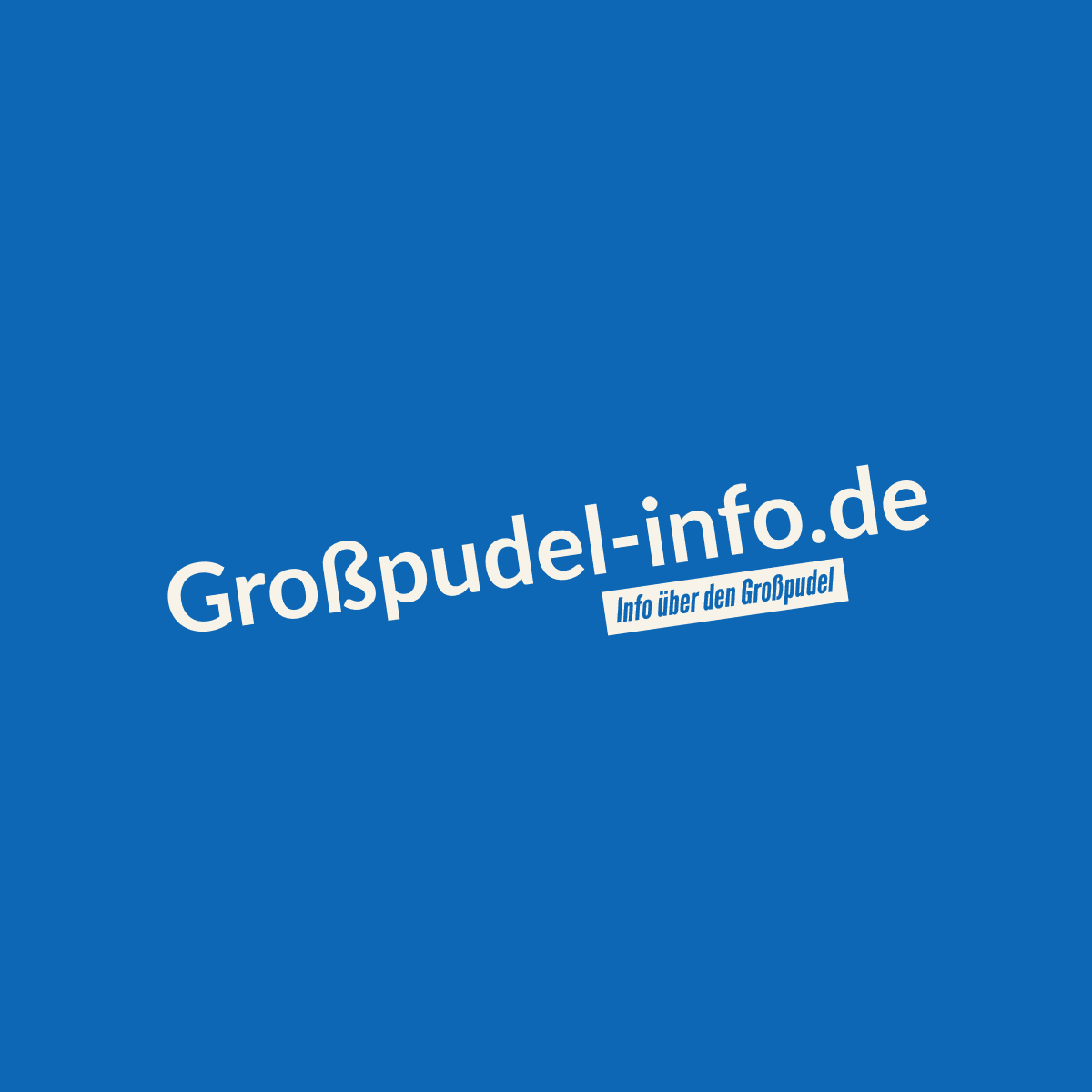 Grosspudel Königspudel Ein Rasseporträt